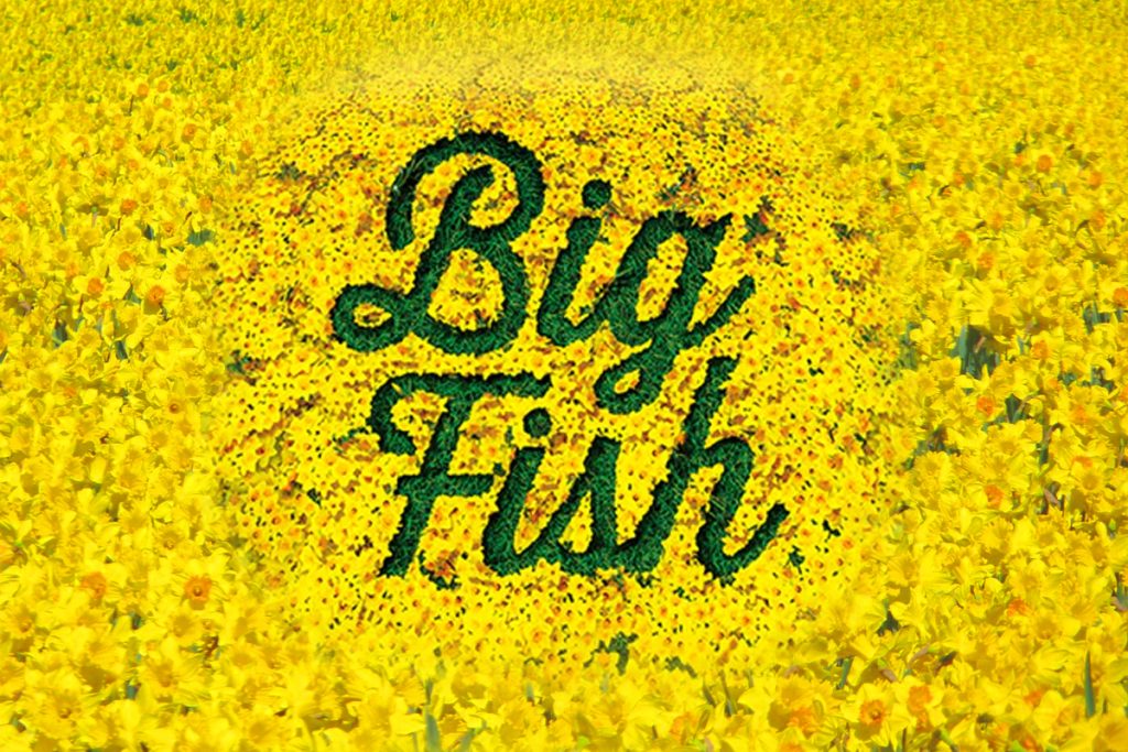 Big Fish logo in green script lettering on bright yellow textured background with grunge effect