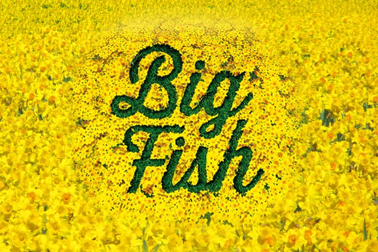 Big Fish logo in green script lettering on bright yellow textured background with grunge effect