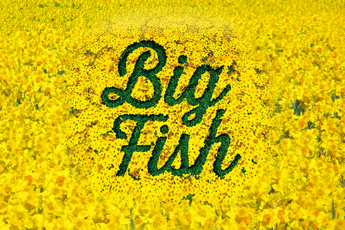Big Fish logo in green script lettering on bright yellow textured background with grunge effect